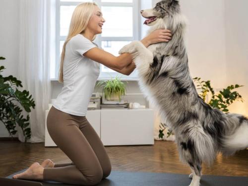 The importance of physical therapy for dogs