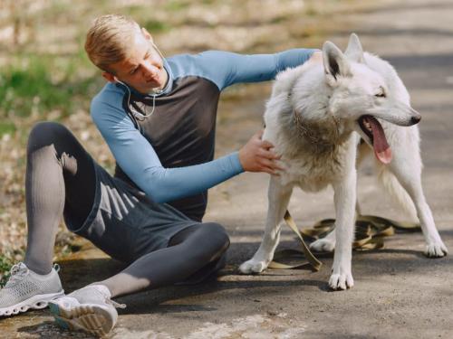 Spring: 5 Useful Tips to Get Your Dog Back in Shape