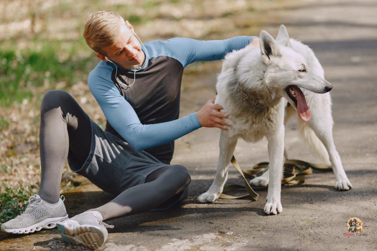 Spring: 5 Useful Tips to Get Your Dog Back in Shape